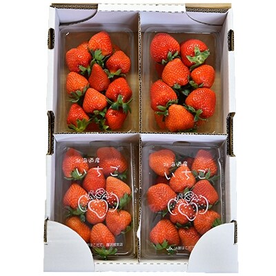 はじける甘さ!! 江差追分を聴いて育った江差産いちご「けんたろう」1.2kg