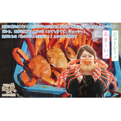 『北海道北前蟹』北海道日本海産  紅ずわいがに脚むき身(ポーション)500g