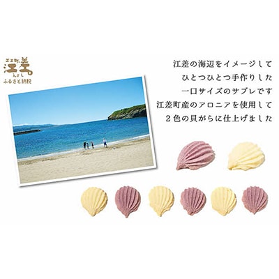 江差の海をイメージした貝がらサブレ2箱セット
