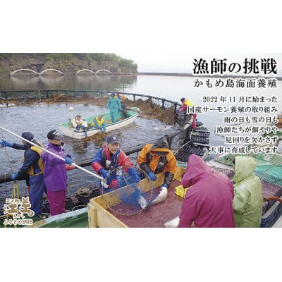 【熨斗付き】《お中元》北海道江差産サーモン使用スモークサーモン(2P)&切り身(3切れ)セット×2箱