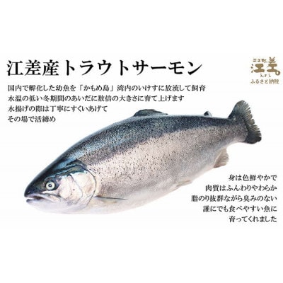 【熨斗付き】《お中元》北海道江差産サーモン使用スモークサーモン(2P)&切り身(3切れ)セット×2箱