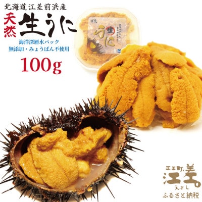 ★2026年分先行受付★江差前浜産 生うに 100g 海洋深層水パック(無添加・みょうばん不使用)