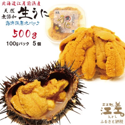 ★2025年分先行受付★江差前浜産 生うに 500g 海洋深層水パック(無添加・みょうばん不使用)