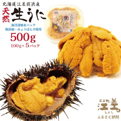 ★2026年分先行受付★江差前浜産 生うに 500g 海洋深層水パック(無添加・みょうばん不使用)