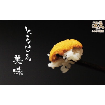 ★2026年分先行受付★江差前浜産 生うに 500g 海洋深層水パック(無添加・みょうばん不使用)