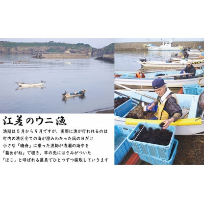 ★2025年分先行受付★江差前浜産 生うに 500g 海洋深層水パック(無添加・みょうばん不使用)