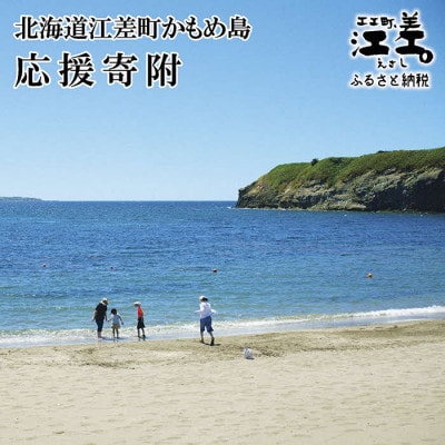 【返礼品なし】かもめ島応援寄附(1口:5千円)かもめ島の環境保全・景観保護・にぎわい創出支援
