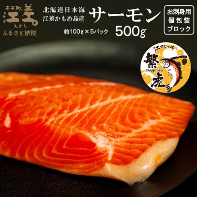 北海道産 トラウトサーモン お刺身用ブロック 500g(100g×5P)生食可　冷凍　小分けパック　