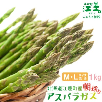 北海道江差町産 アスパラガス 1kg M～Lサイズ　朝採り農家直送