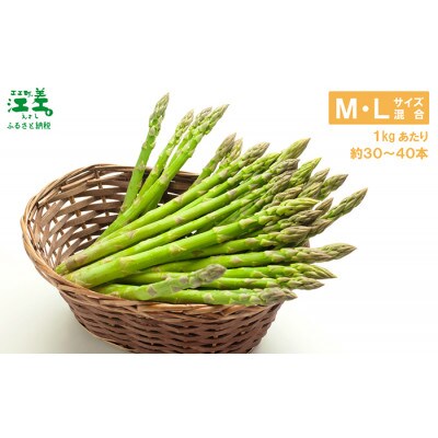 北海道江差町産 アスパラガス 1kg M～Lサイズ　朝採り農家直送