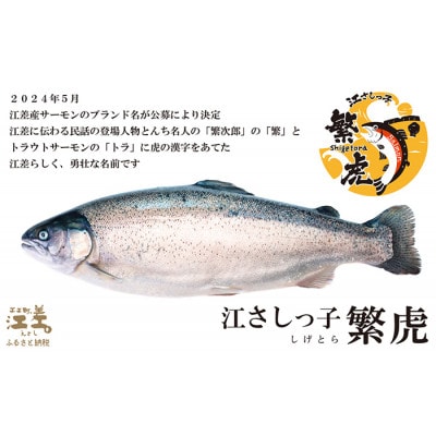 【2026年先行予約】生発送!鮮魚【1本まるごと】活〆・神経〆 北海道産 サーモン 約2.5kg