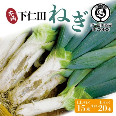 下仁田の広大な畑が生む逸品 下仁田ねぎ (LL15本またはL20本)