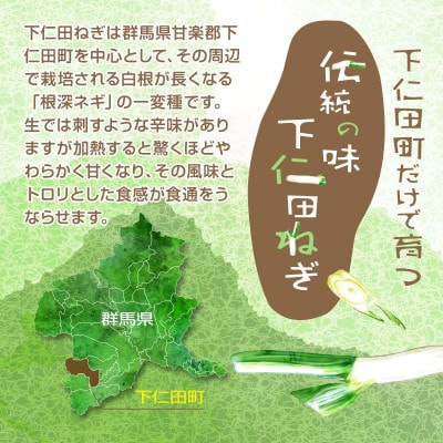 下仁田の広大な畑が生む逸品 下仁田ねぎ (LL15本またはL20本)