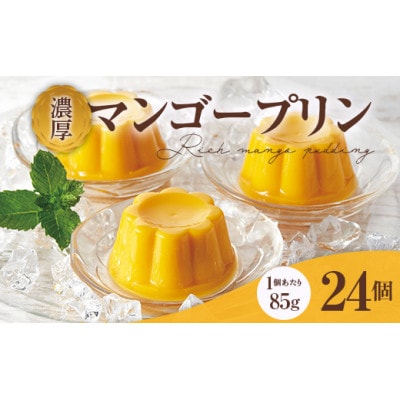 濃厚マンゴープリンセット　24個入