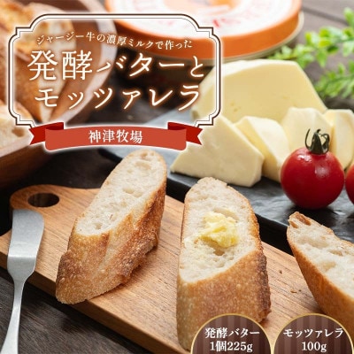 濃厚ミルクで作った発酵バター1缶(225g)とモッツァレラ(100g) F21K-491