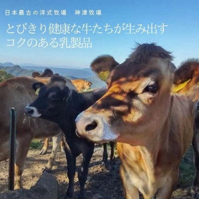 神津牧場 ストリングチーズ3個セット F21K-497