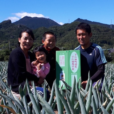 伝統農法の下仁田葱　Мサイズ(20本)