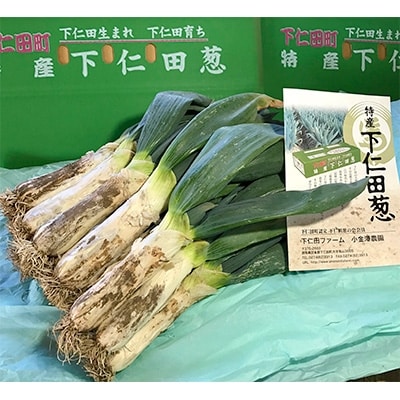 厳冬期の下仁田ねぎ　Lサイズ20本
