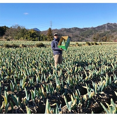 厳冬期の下仁田ねぎ　Lサイズ20本