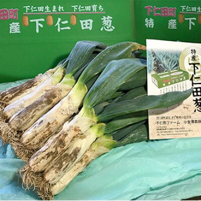 ねぎ18本とこんにゃく(生芋こんにゃく・生芋糸こんにゃく) 下仁田セット
