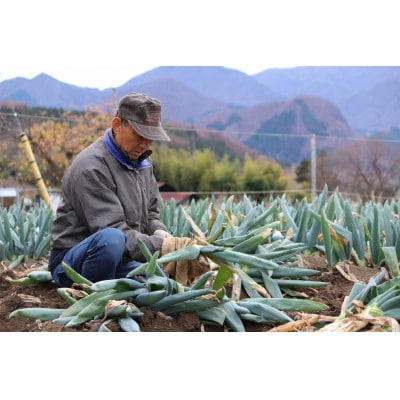 自慢の下仁田葱(LLサイズ　15本)【離島配送不可】