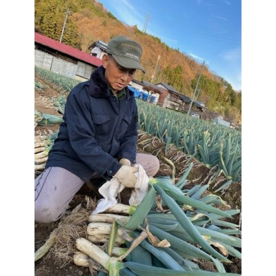 自慢の下仁田葱(Lサイズ　18本)【離島配送不可】