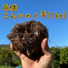 有機こんにゃく芋(約1kg)(レシピ・凝固剤付き)