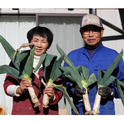 丹精込めた下仁田葱(LLサイズ14本)