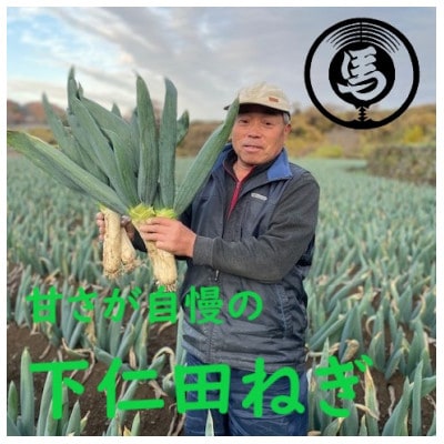 甘さが自慢の下仁田葱(3Lサイズ 12本)