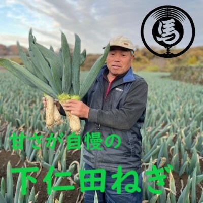 甘さが自慢の下仁田葱(Lサイズ18本)
