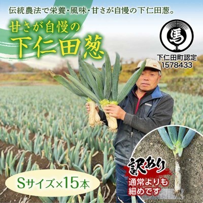 訳あり(家庭用)甘さが自慢の下仁田葱 Sサイズ 15本