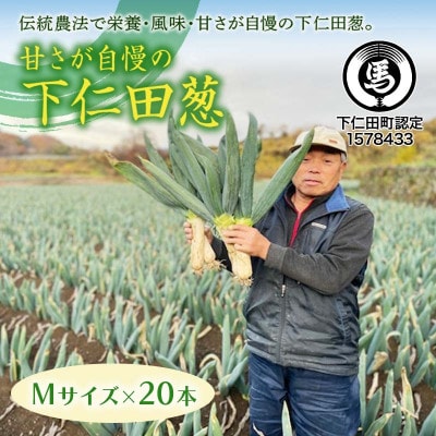 甘さが自慢の下仁田ねぎ(Mサイズ 20本)