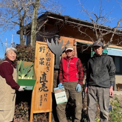 本場下仁田町認定 葱の会会員がつくった下仁田葱(Mサイズ　20本)