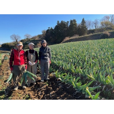 本場下仁田町認定 葱の会会員がつくった下仁田葱 食べ比べ(M2本・L2本・LL3本)F21K-624