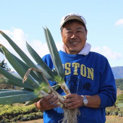 愛情込めて育てた下仁田葱(3Lサイズ12本)