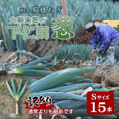 別名【殿様ねぎ】大澤農園の下仁田葱(S 15本)