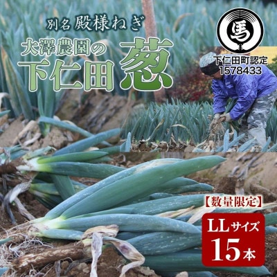 別名【殿様ねぎ】大澤農園の下仁田葱(LL 15本)