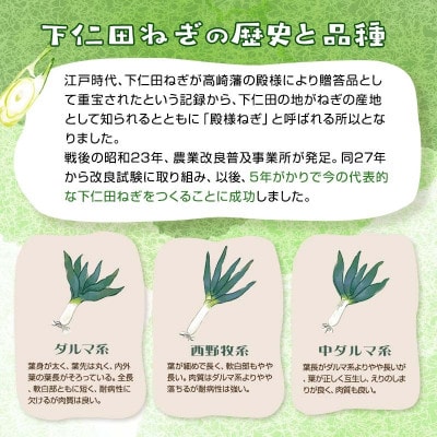 別名【殿様ねぎ】大澤農園の下仁田葱(L 20本)
