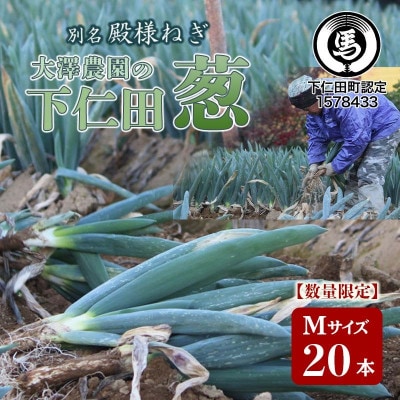 別名【殿様ねぎ】大澤農園の下仁田ねぎ(M 20本)