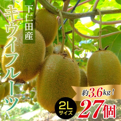 <先行予約>【令和6年・群馬県知事賞受賞】下仁田町産キウイフルーツ(27個入り/2Lサイズ)