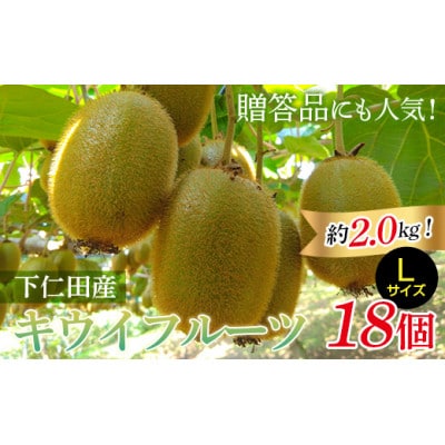 <先行予約>【3年連続受賞】下仁田町産キウイフルーツ(18個入り/Lサイズ)　約2.0kg