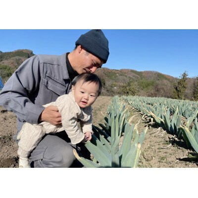 本場下仁田産!下仁田ネギ　【Lサイズ30本】　寒い冬に最高のすき焼きを♪