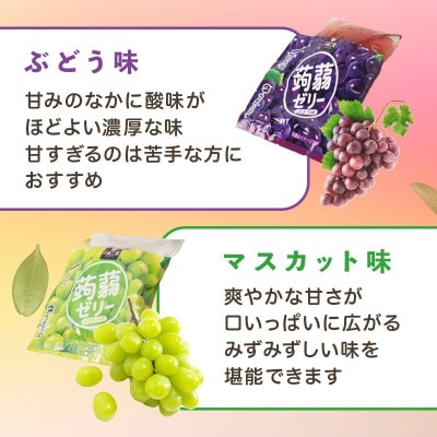 60粒!下仁田の蒟蒻ゼリーソフトタイプ2種 ぶどう好きセット(2種×5袋6粒入り) F21K-368