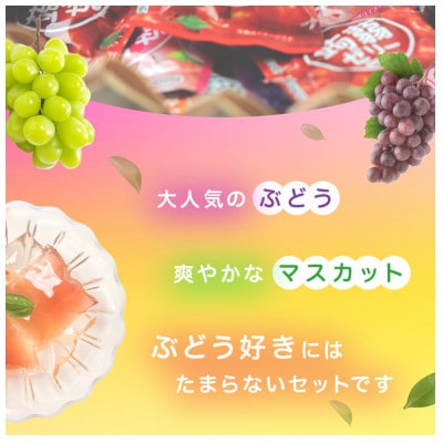 180粒入!下仁田の蒟蒻ゼリーソフトタイプ2種 ぶどう好きセット(2種×15袋) F21K-370