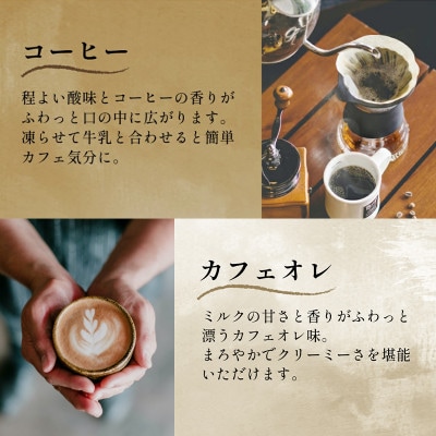 60粒!下仁田の蒟蒻ゼリーソフトタイプ2種 カフェセット(2種×5袋6粒入り) F21K-377
