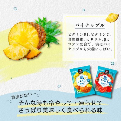 120粒!下仁田の蒟蒻ゼリーソフトタイプ2種 塩分チャージ(2種×10袋6粒入)F21K-387
