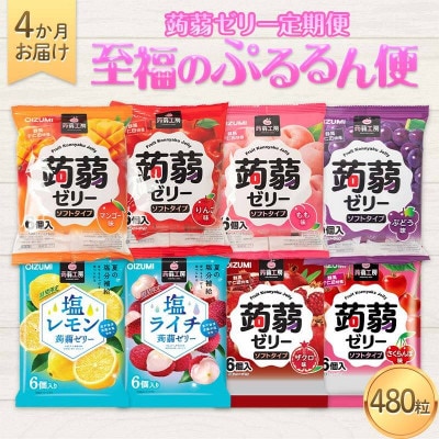 【毎月定期便】蒟蒻ゼリー定期便 480粒 至福のぷるるん便 F21K-472全4回