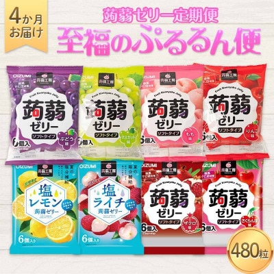 【毎月定期便】蒟蒻ゼリー定期便 480粒 至福のぷるるん便 F21K-470全4回