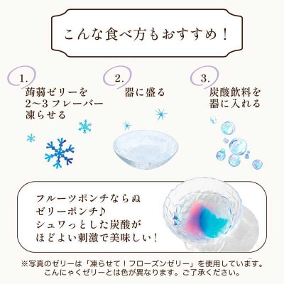 【毎月定期便】蒟蒻ゼリー定期便 480粒 至福のぷるるん便 F21K-470全4回