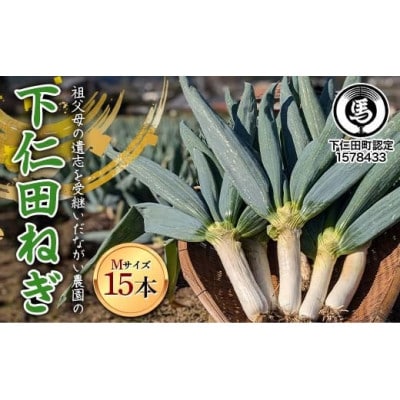 【伝統野菜】祖父母の遺志を受継いだながい農園の下仁田ねぎ(Mサイズ15本) 群馬県下仁田町産